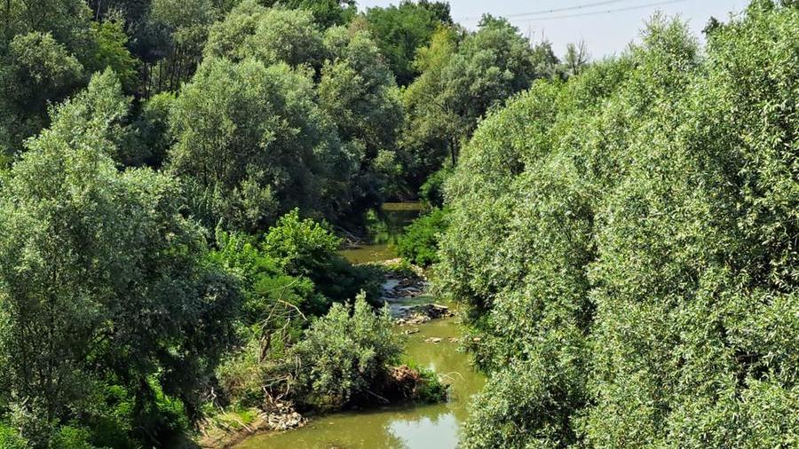 I fiumi modenesi sono quasi a secco Ma nessuno li pulisce