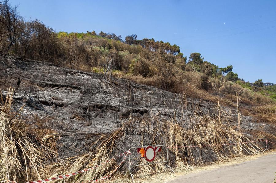 In Versilia è caccia al "diavolo": è lui che ha scatenato l’inferno. Trovati tre inneschi