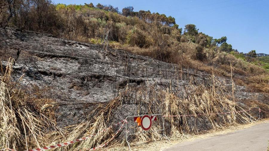 In Versilia è caccia al "diavolo": è lui che ha scatenato l’inferno. Trovati tre inneschi