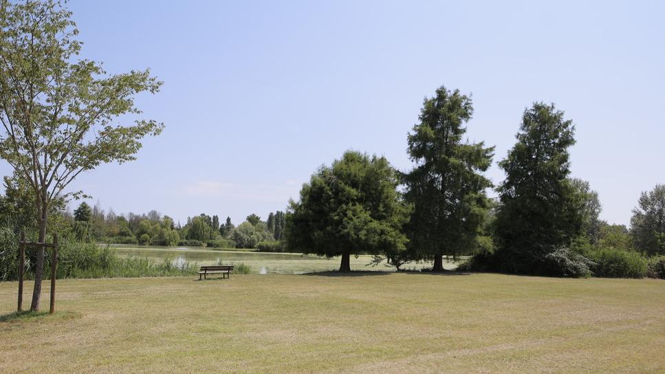 “Bassani”, appello al Boss: via dal Parco