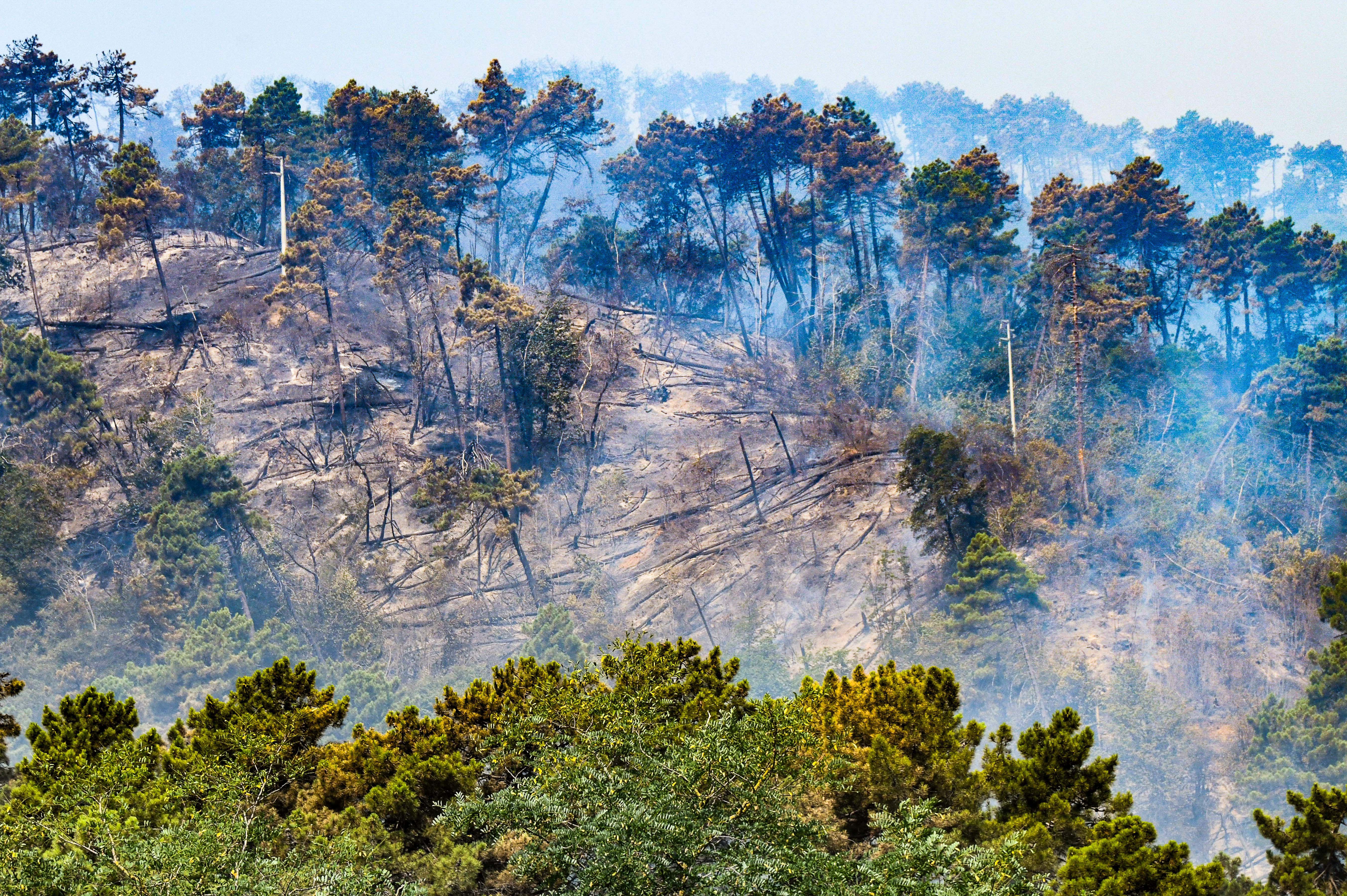 L’effetto dell’incendio sulle colline intorno a Piazzano