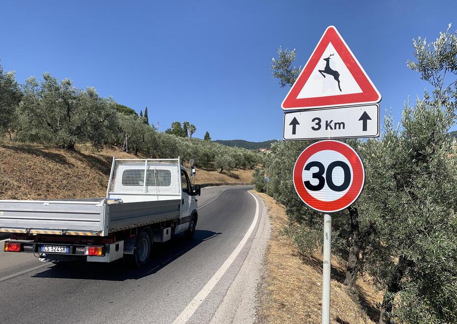 Valdinievole, limite di 30 all’ora sulle provinciali perché l’erba non viene tagliata 