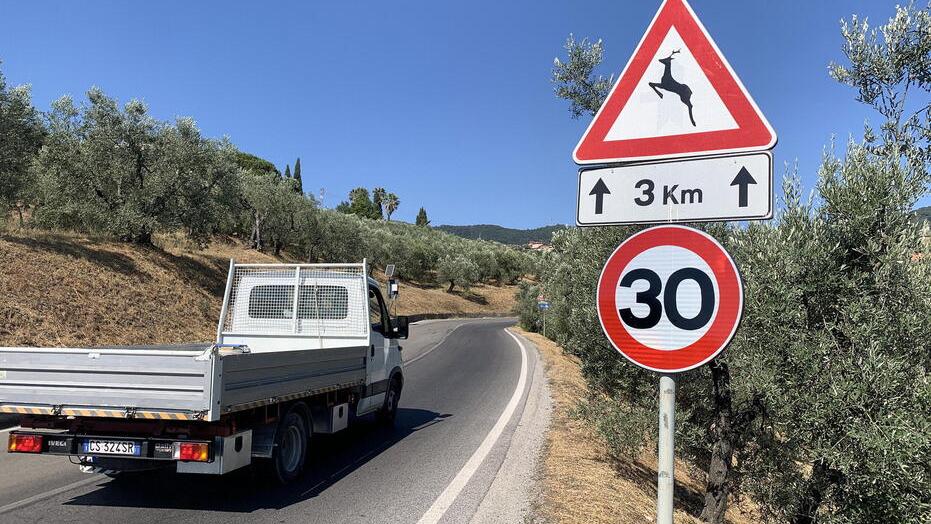 Valdinievole, limite di 30 all’ora sulle provinciali perché l’erba non viene tagliata