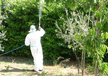West Nile, indagini Asl in corso. Rischio epidemia basso-moderato