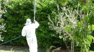 West Nile, indagini Asl in corso. Rischio epidemia basso-moderato