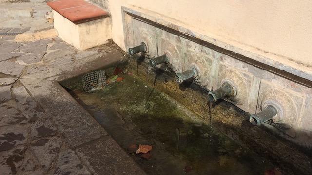«L’antica sorgente dei Canali è malata, da Asa e Comune nessun intervento»