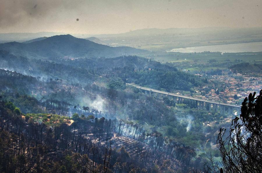 Incendio a Massarosa, il mio calvario: «Le fiamme e la fuga con la gatta, i giorni vissuti da sfollata» 