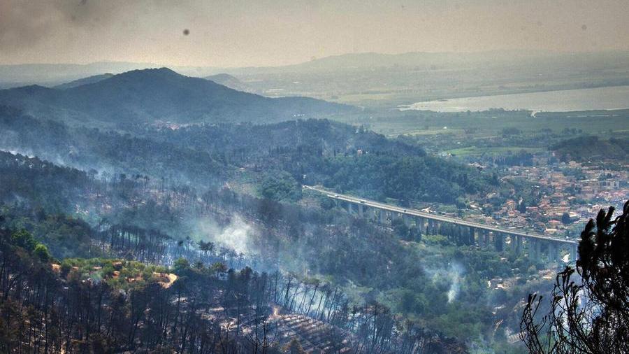 Incendio a Massarosa, il mio calvario: «Le fiamme e la fuga con la gatta, i giorni vissuti da sfollata»