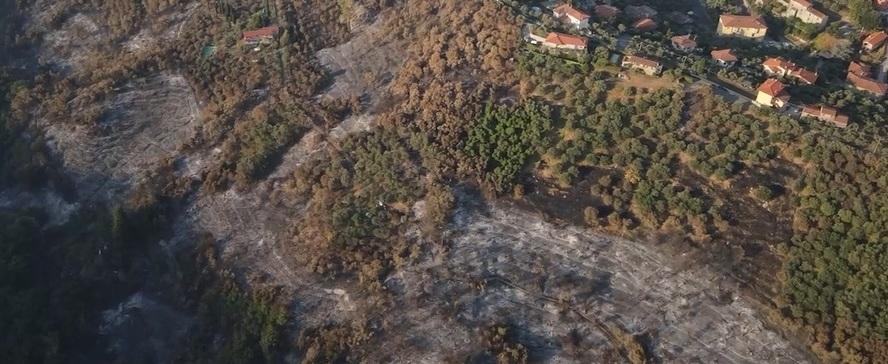 Un’immagine tratta da un video dei vigili del fuoco che riprende dall’alto la devastazione provocata dall’incendio