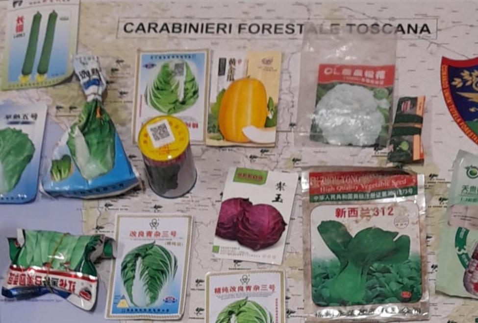 Alcuni dei prodotti illegali rinvenuti all’interno dell’azienda agricola e sequestrati dai militarI