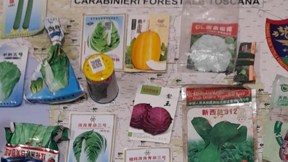 Alcuni dei prodotti illegali rinvenuti all’interno dell’azienda agricola e sequestrati dai militarI