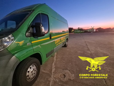 Rogo a Nuoro: le fiamme sono partite da un decespugliatore, identificato l’operatore che lo stava azionando