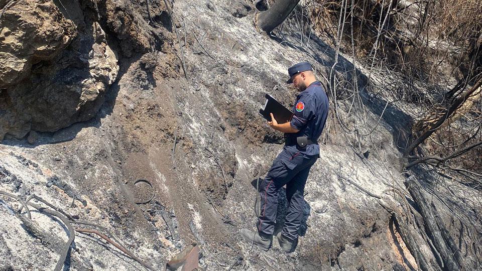 carabinieri forestali del Niab indagano sul campo a Massarosa e a destra il sindaco di Seravezza Alessandrini con il suo vice Bernardi