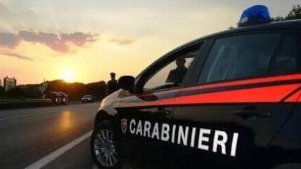 Viareggio, trova il ladro in camera da letto e urla: arrivano i carabinieri e lo arrestano