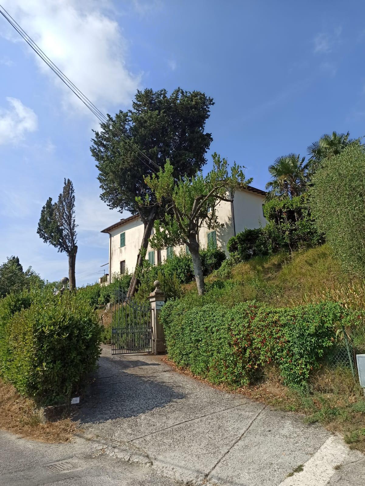 Inferno a Massarosa, la rabbia di Francesca: «Sciacalli in casa mentre ero evacuata, ora faremo le ronde» 
