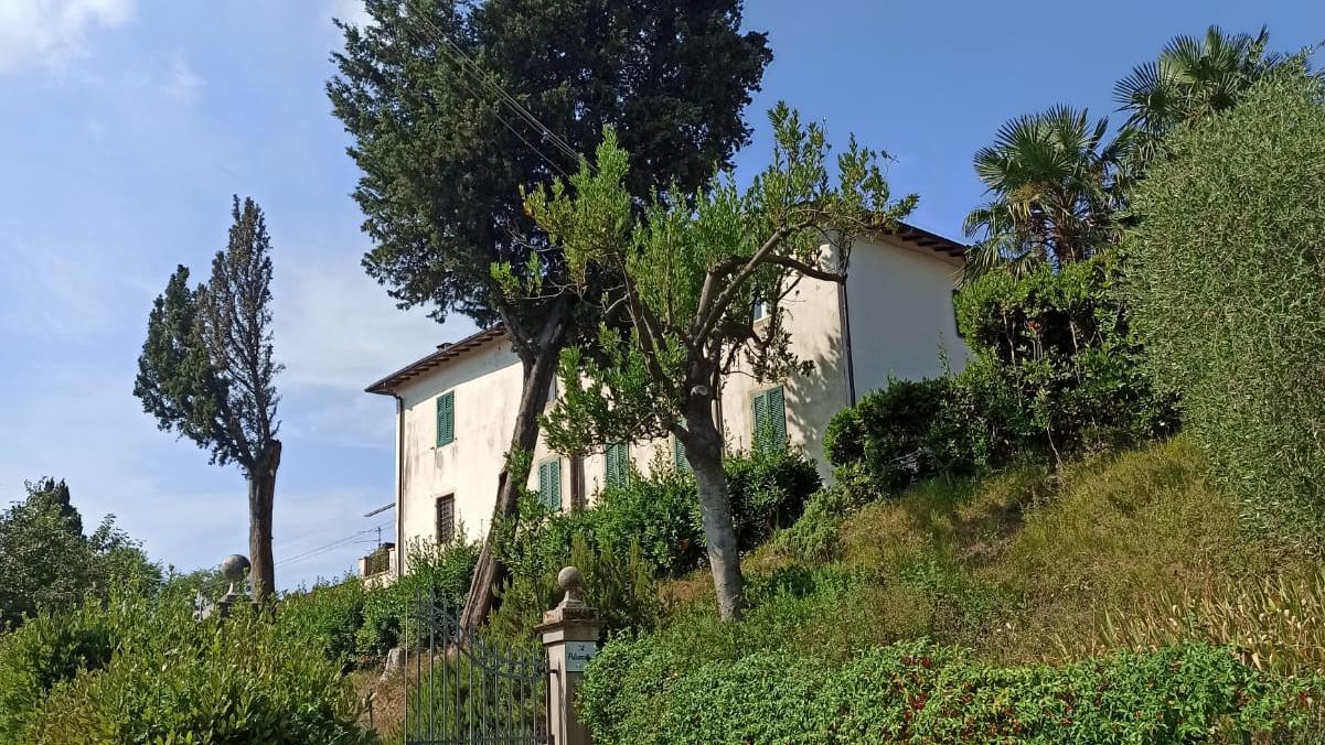 Inferno a Massarosa, la rabbia di Francesca: «Sciacalli in casa mentre ero evacuata, ora faremo le ronde»