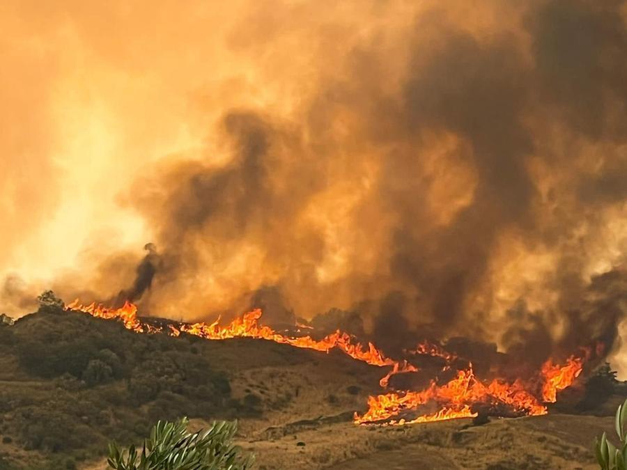 
	Le fiamme a Cinigiano

