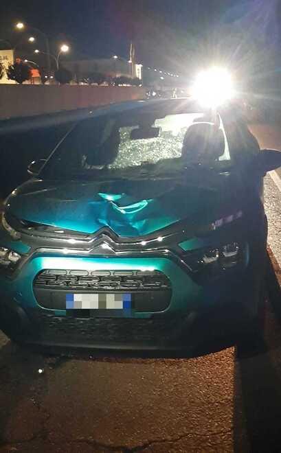 37enne muore investita da un’auto