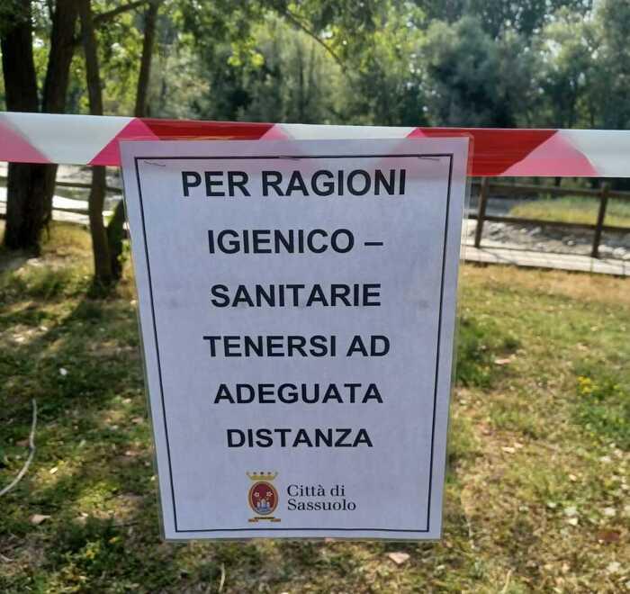 Sassuolo Morìa di pesci nell’oasi «Disastro ambientale» 