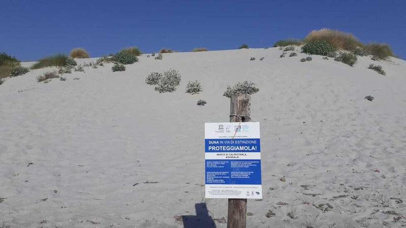 Droni per salvare le maestose dune di Capo Comino