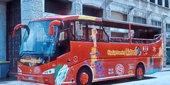 Tour delle torri in notturna a bordo del bus scoperto
