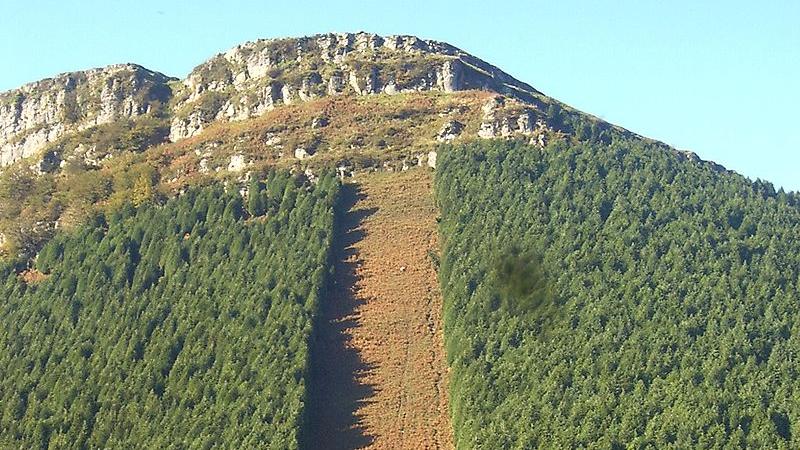 Il piano anti-incendio dopo l'inferno in Versilia: «Con i viali tagliafuoco i boschi più sicuri»