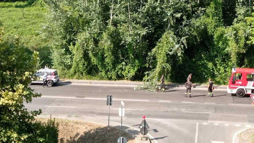 L’intervento dei Vigili del fuoco lungo viale Einaudi