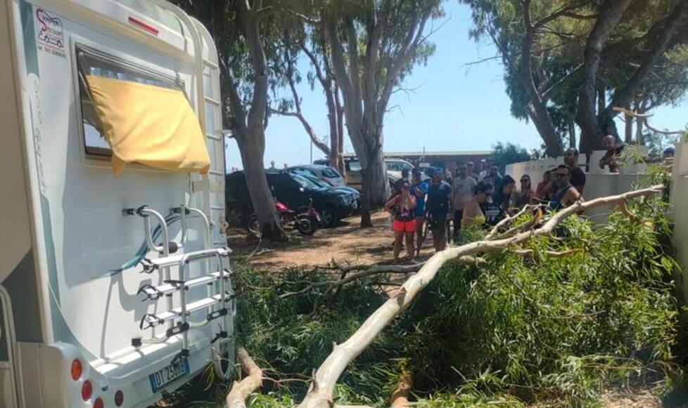 Albero si abbatte su un camper a Torregrande: illesa una bambina all’interno 