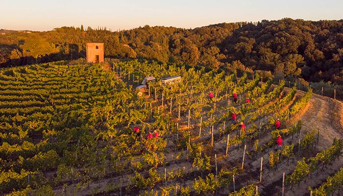 È ufficiale: la fattoria di Villa Saletta ha acquisito la tenuta San Gervasio