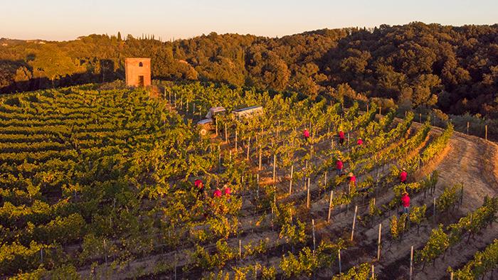 È ufficiale: la fattoria di Villa Saletta ha acquisito la tenuta San Gervasio