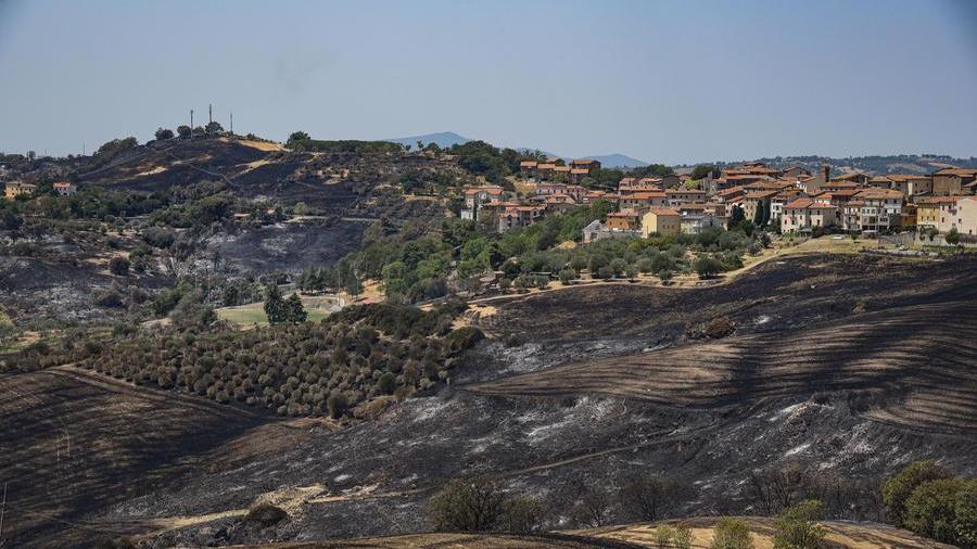 Incendio a Cinigiano: venti in aumento, le fiamme bruciano 700 ettari