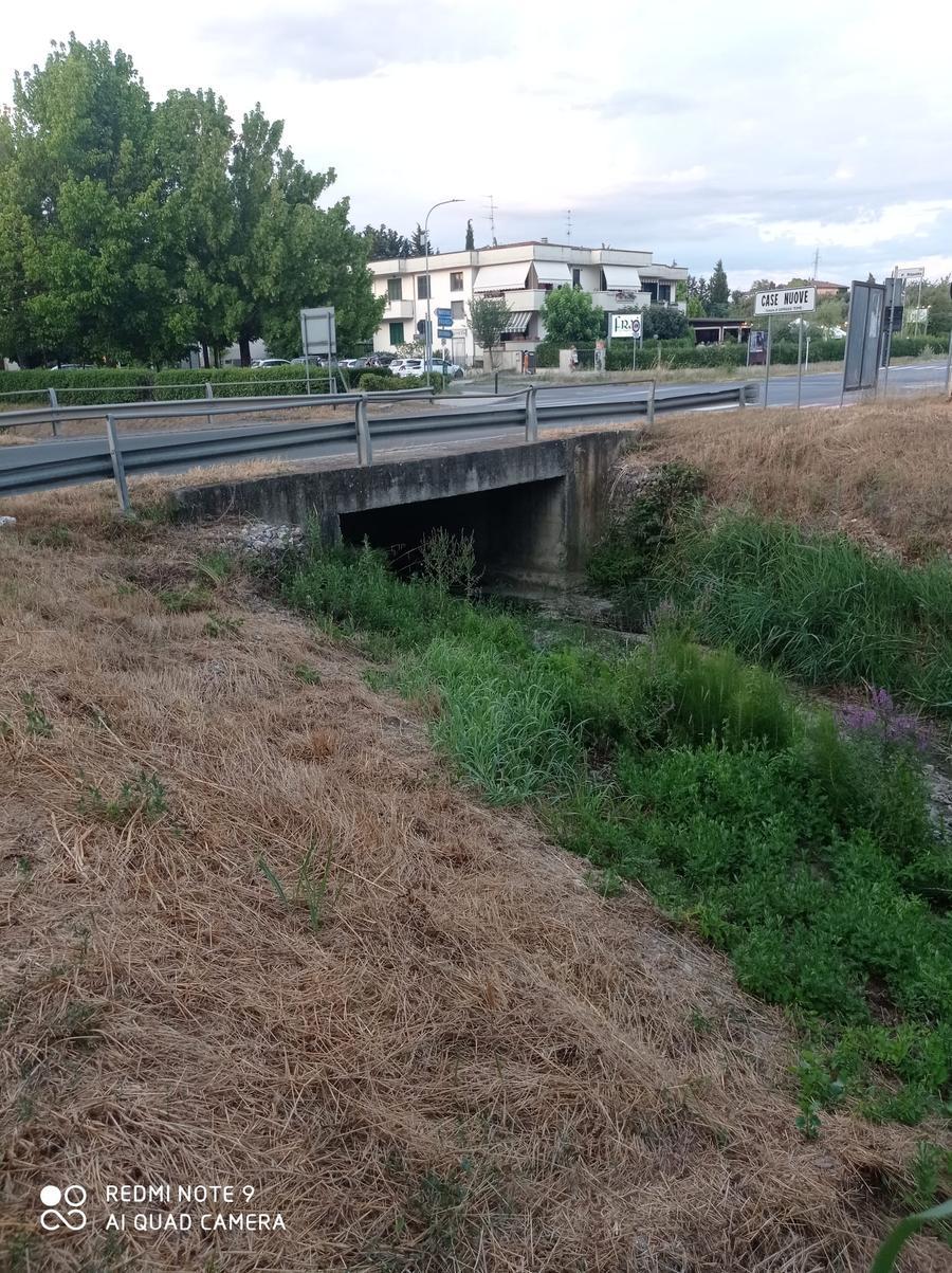 
	Il ponte sulla provinciale 26 che fa da tappo quando piove

