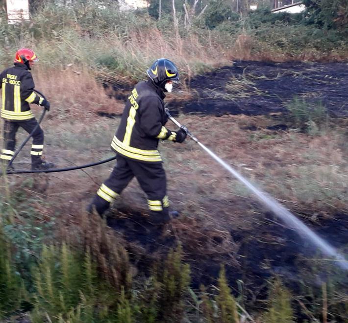 Incendi, vigili del fuoco in trincea: oltre 300 interventi in due mesi nel Ferrarese