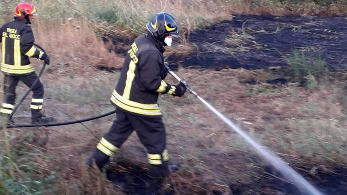 Incendi, vigili del fuoco in trincea: oltre 300 interventi in due mesi nel Ferrarese