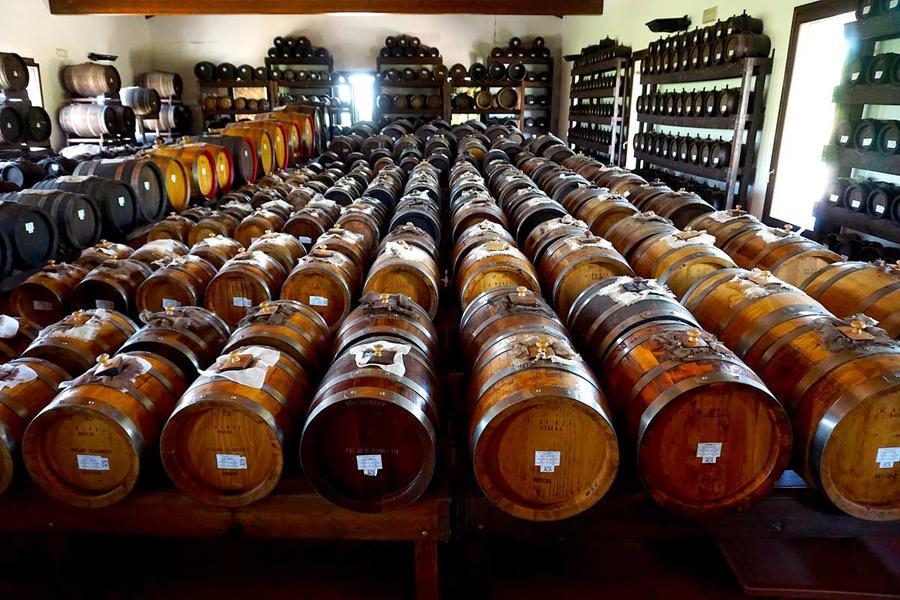 
	Batterie di aceto balsamico tradizionale: l'oro nero vale un miliardo di valore aggiunto al consumo

