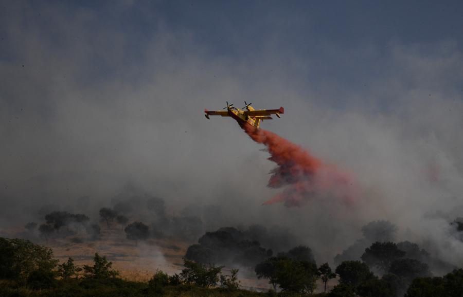 
	Il Canadair sopra la campagna in fiamme a Su Berrinau (foto Massimo Locci)

