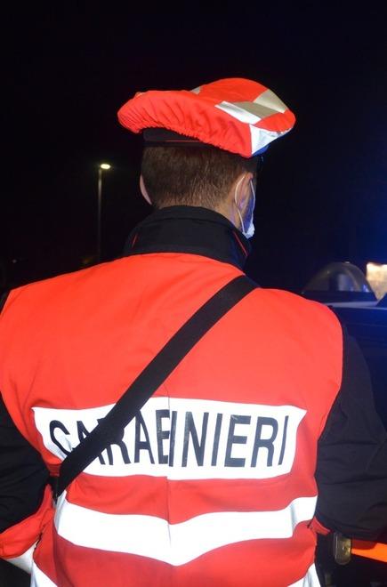 Mirandola, furti nella zona artigianale