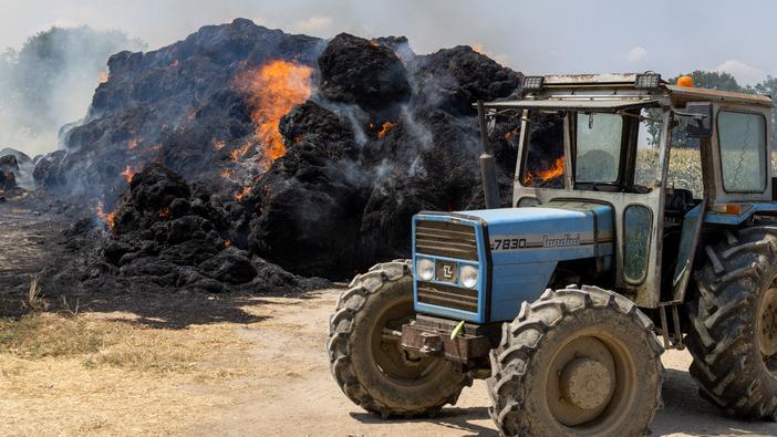 Ferrara, rotoballe a fuoco all’azienda di via Palmirano