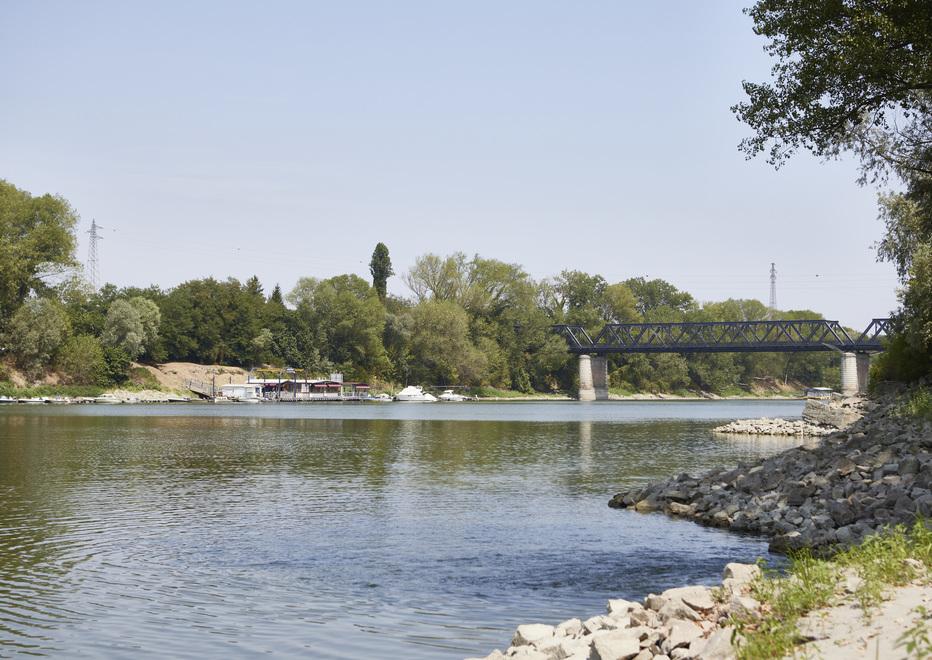 Siccità, altro impianto spento: la spinta del mare sul Po fa danni 