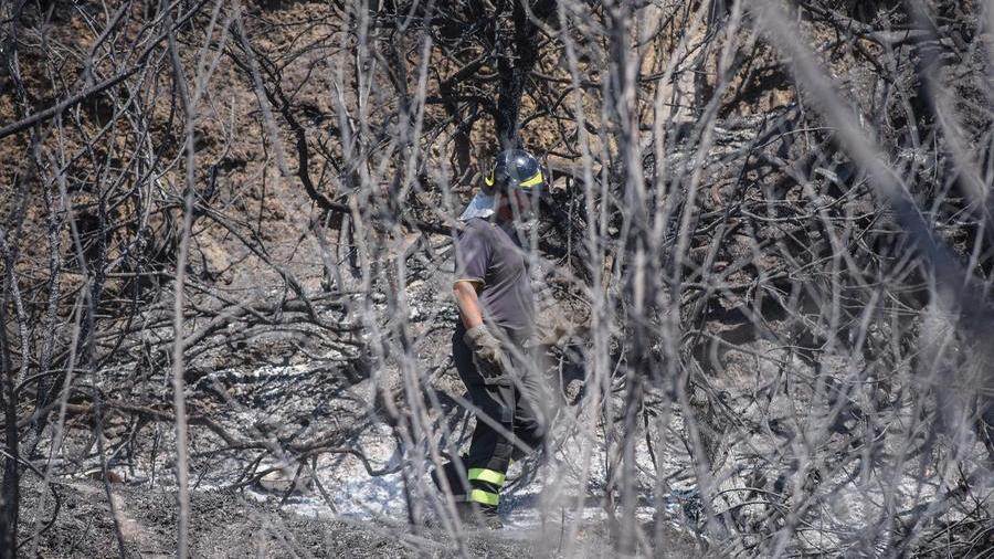 In fumo 2000 ettari in Toscana: a rischio la produzione delle campagne