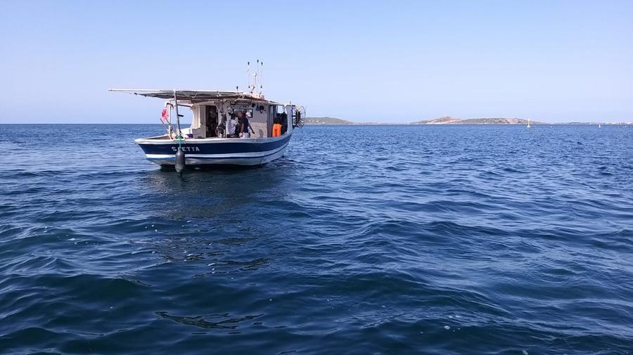 Cabras, pulizia dei fondali nell’Area marina protetta