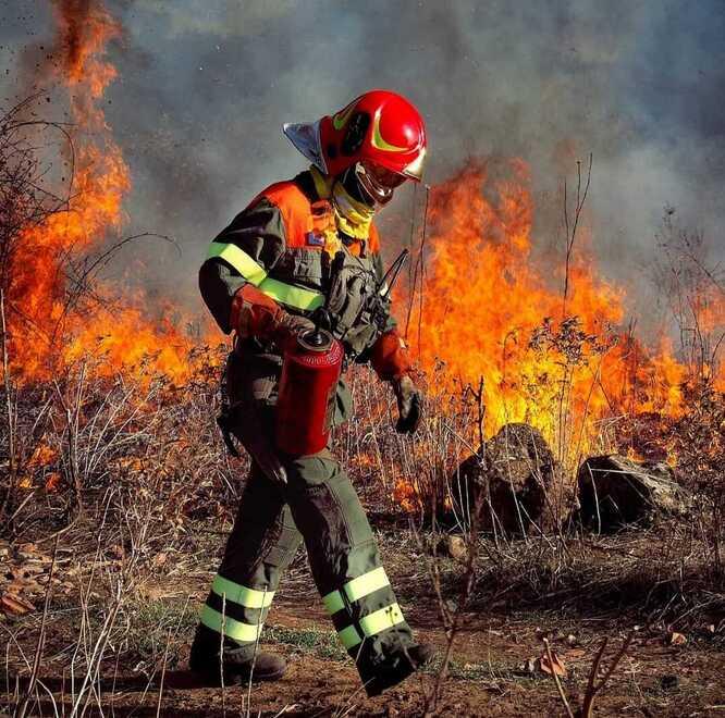 Gauf: se il fuoco è il migliore alleato per spegnere i grossi incendi