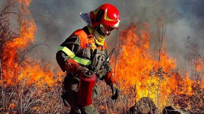 Gauf: se il fuoco è il migliore alleato per spegnere i grossi incendi