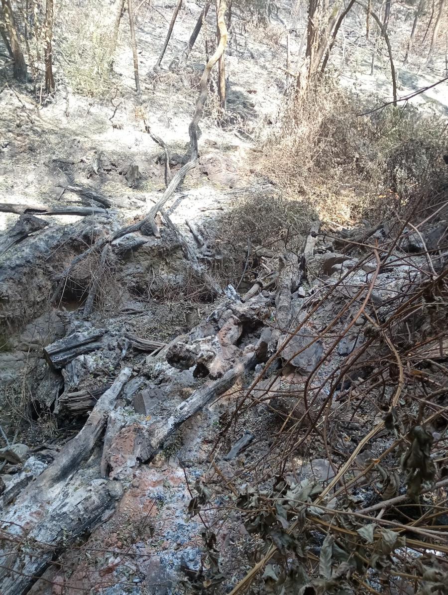 «Mamma, c’è un incendio». Ed è iniziato l’incubo: vi racconto come il nostro mondo è cambiato 