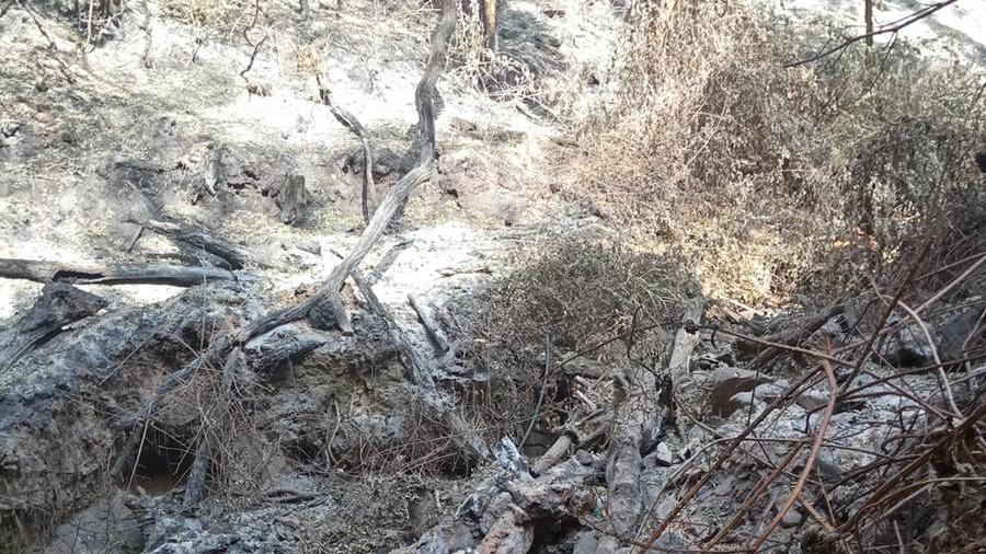 «Mamma, c’è un incendio». Ed è iniziato l’incubo: vi racconto come il nostro mondo è cambiato