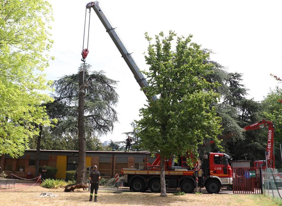 Albero cade sulla casa del custode al centro sportivo della Canalina