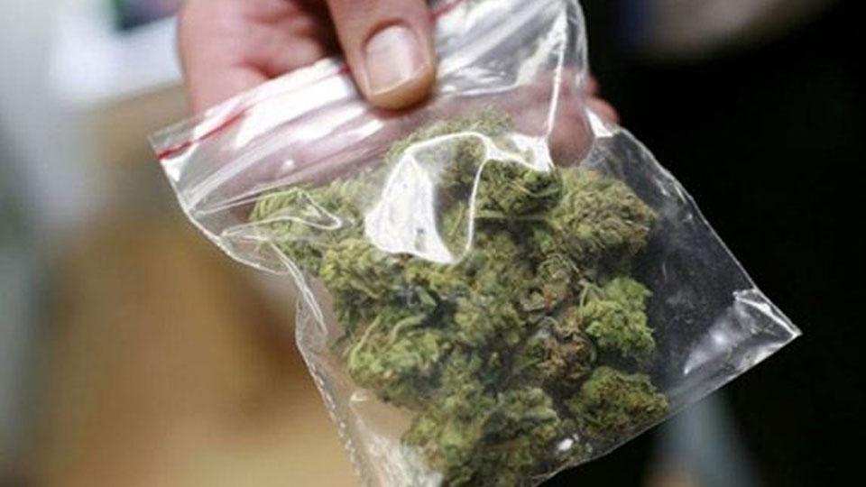 Arrestato con 600 grammi di marijuana