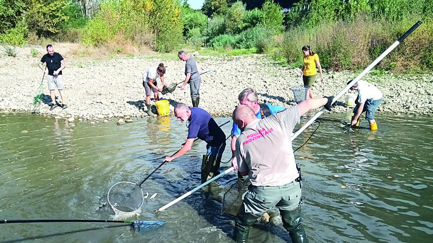 Volontari salvano i pesci della Pesa «Il torrente ora è come una strada»