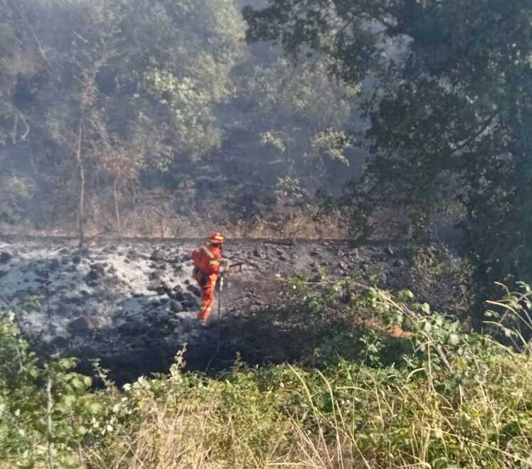 Lo sforzo eccellente dei volontari in lotta contro le fiamme 