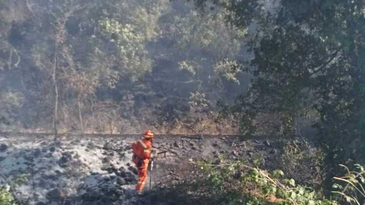 Lo sforzo eccellente dei volontari in lotta contro le fiamme